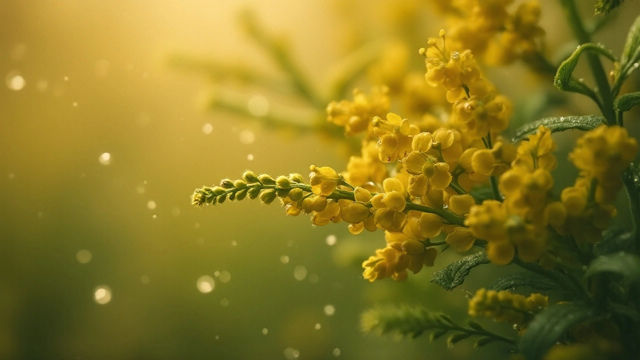 Butea Superba Supplement: Natural Boost for Libido & Vitality